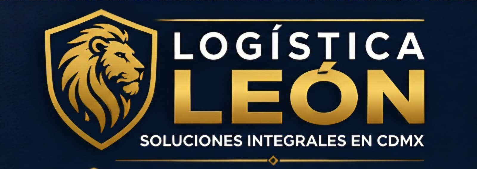 Logística León - Soluciones Integrales en CDMX